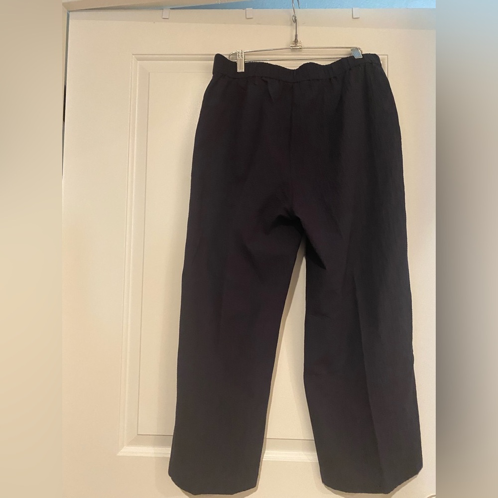 Eileen Fisher Ink Straight Cropped Pant Size M NWT